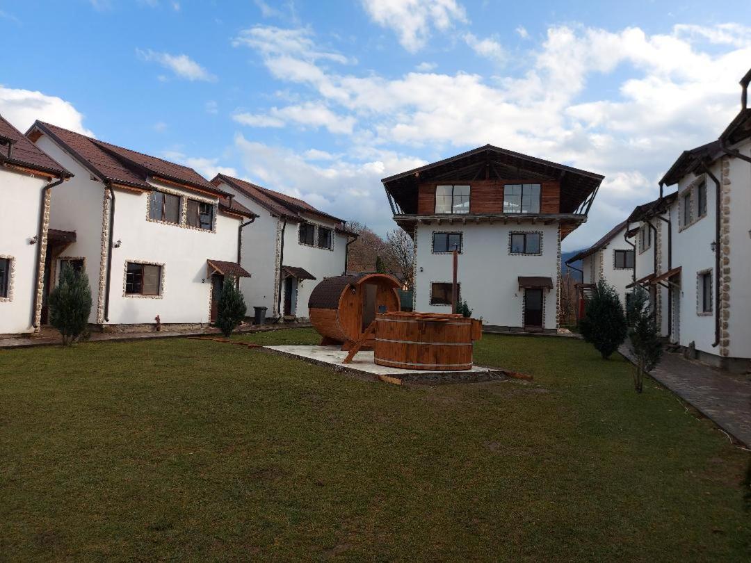 Hotel Domeniul Roa Avrig Exterior foto